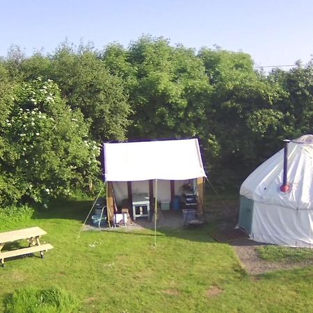 Mill Haven Place Glamping-Yurt 1 Talbenny Buitenkant foto