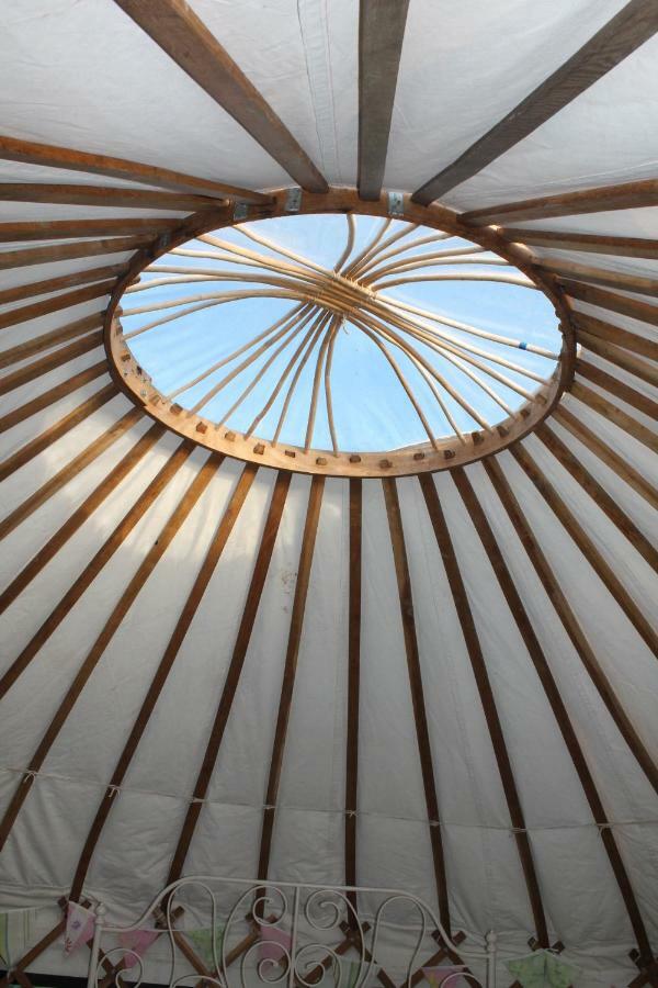 Mill Haven Place Glamping-Yurt 1 Talbenny Buitenkant foto