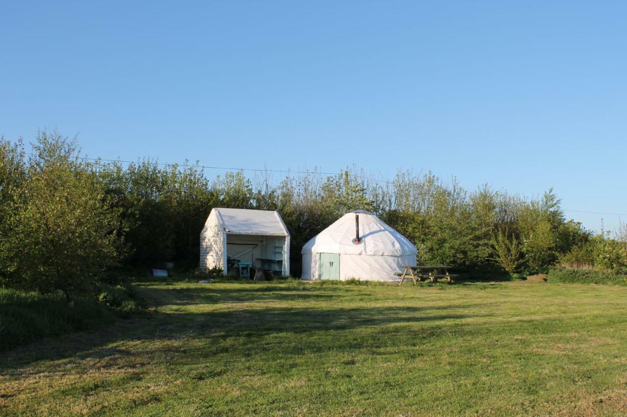 Mill Haven Place Glamping-Yurt 1 Talbenny Buitenkant foto