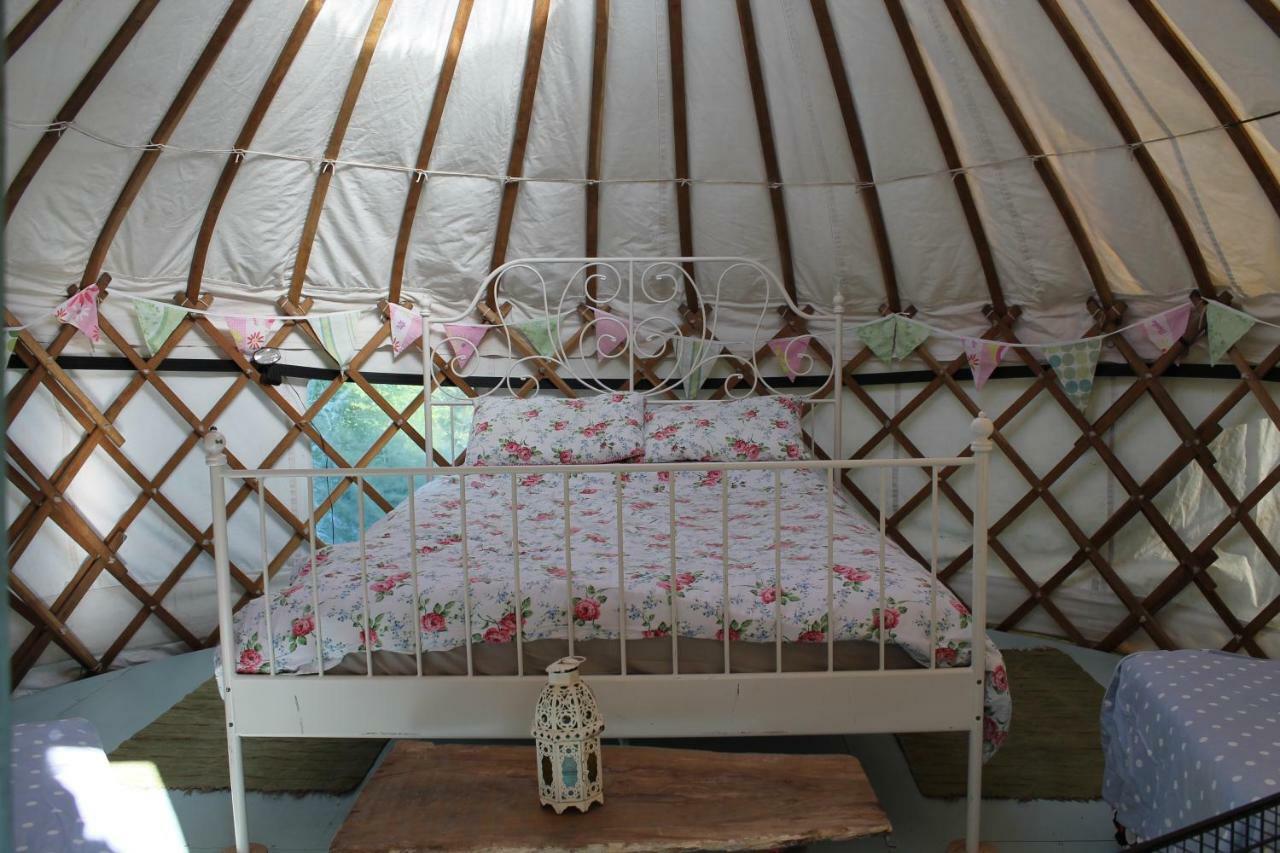 Mill Haven Place Glamping-Yurt 1 Talbenny Buitenkant foto