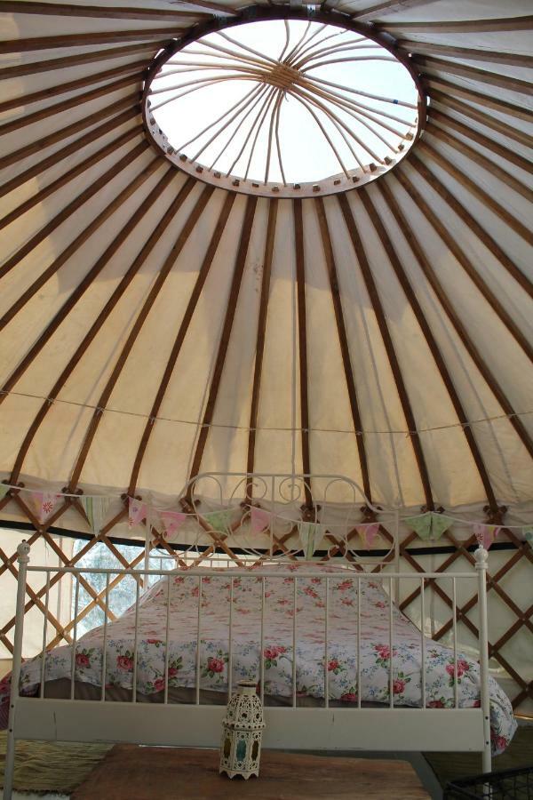 Mill Haven Place Glamping-Yurt 1 Talbenny Buitenkant foto