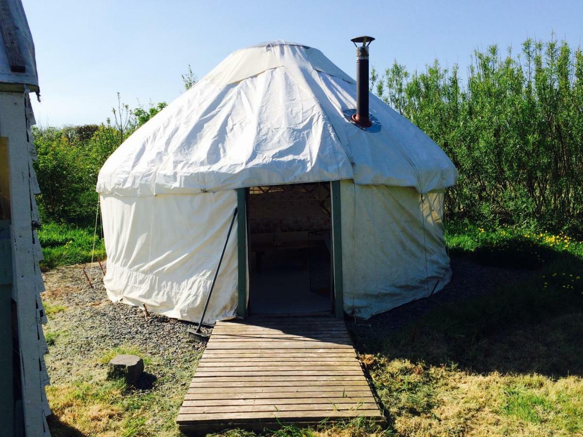 Mill Haven Place Glamping-Yurt 1 Talbenny Buitenkant foto