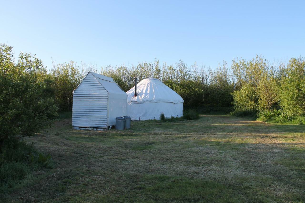 Mill Haven Place Glamping-Yurt 1 Talbenny Buitenkant foto