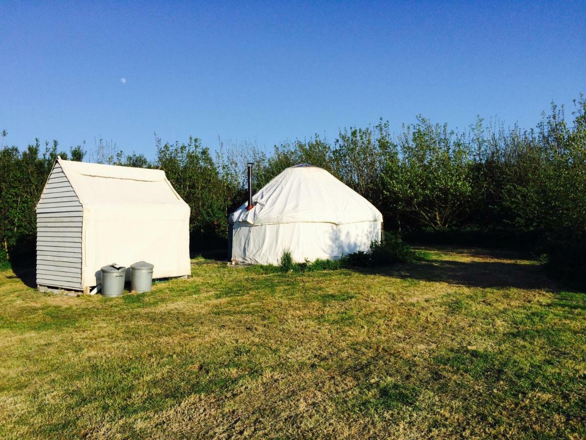 Mill Haven Place Glamping-Yurt 1 Talbenny Buitenkant foto